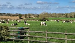 CREAM Awards Winners Walk